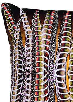 ANJALI HOOD - Orange Breasted Trogon Cushion - Designer Dress hire