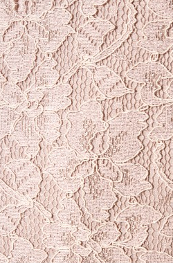 DIANE VON FURSTENBERG - Zarita Lace Dress Pink - Designer Dress hire