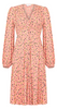 ROBERTO CAVALLI - Sheer Sleeve Print Dress - Designer Dress hire 