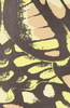 McQ ALEXANDER MCQUEEN - Camouflage Print Dress - Designer Dress hire