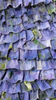 MIA JAFARI - Sunset Impression - Designer Dress hire