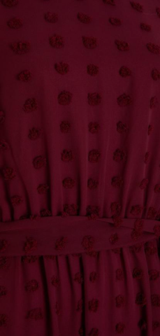 QUIZ - Wine Sleeved Midaxi Dress - Designer Dress hire