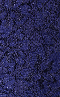 DIANE VON FURSTENBERG - Zarita Lace Dress Navy - Designer Dress hire