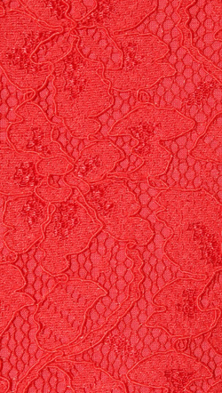 DIANE VON FURSTENBERG - Zarita Lace Dress Red - Designer Dress hire