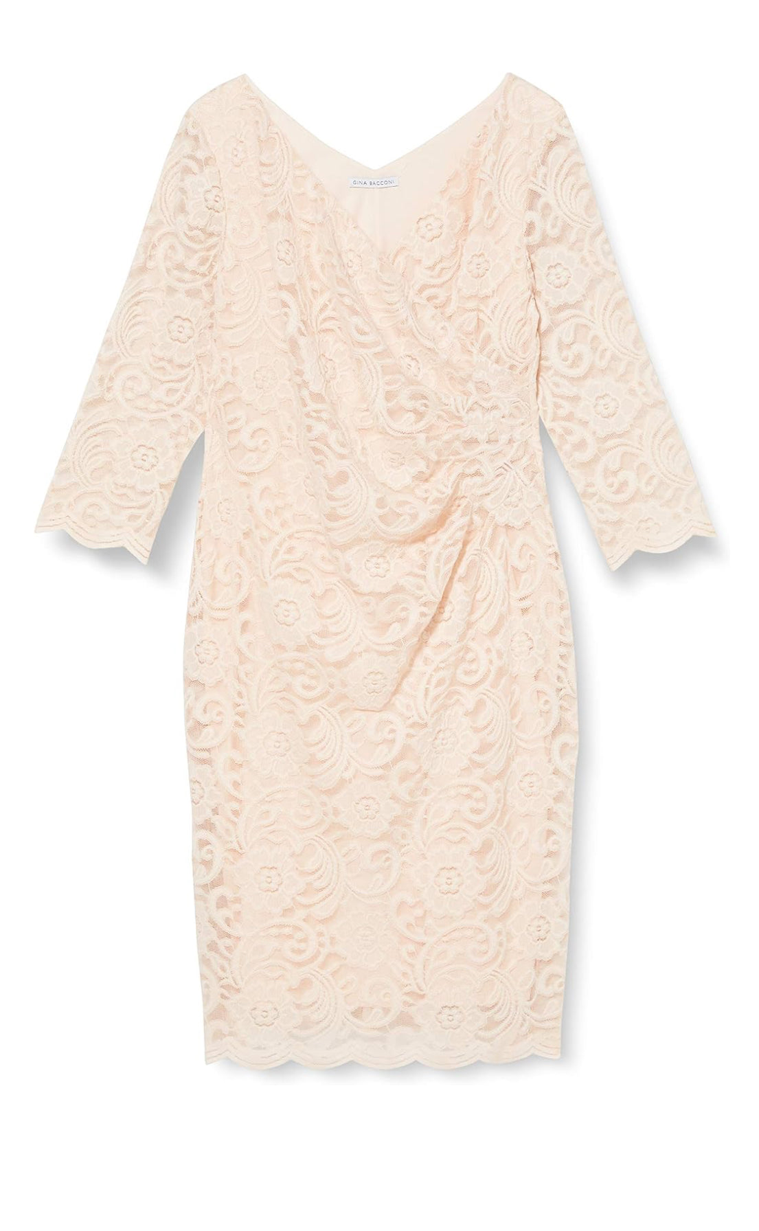 Clarinell Stretch Lace Dress