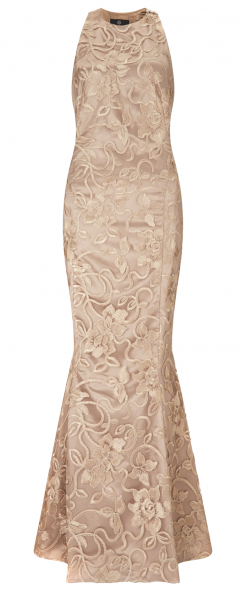 Anastasia gold lace best sale formal dress