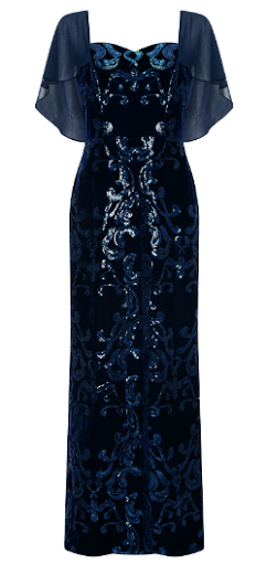 Velvet blue gown 2025