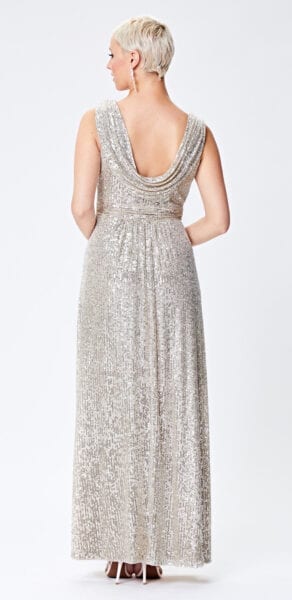 Cardi Silver Maxi Dress
