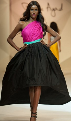 DIMA AYAD - Flared Tricolor Dress - Designer Dress hire 